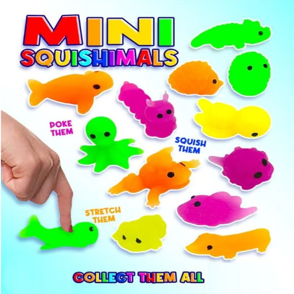 Front display card for mini Squishimals