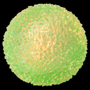 Light-Up Crystal Bounce Ball 2in Asst (12 pcs)