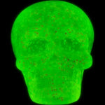 Skull Head Collection 2in (50 pcs)