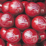 850 Count Black Cherry Gumballs