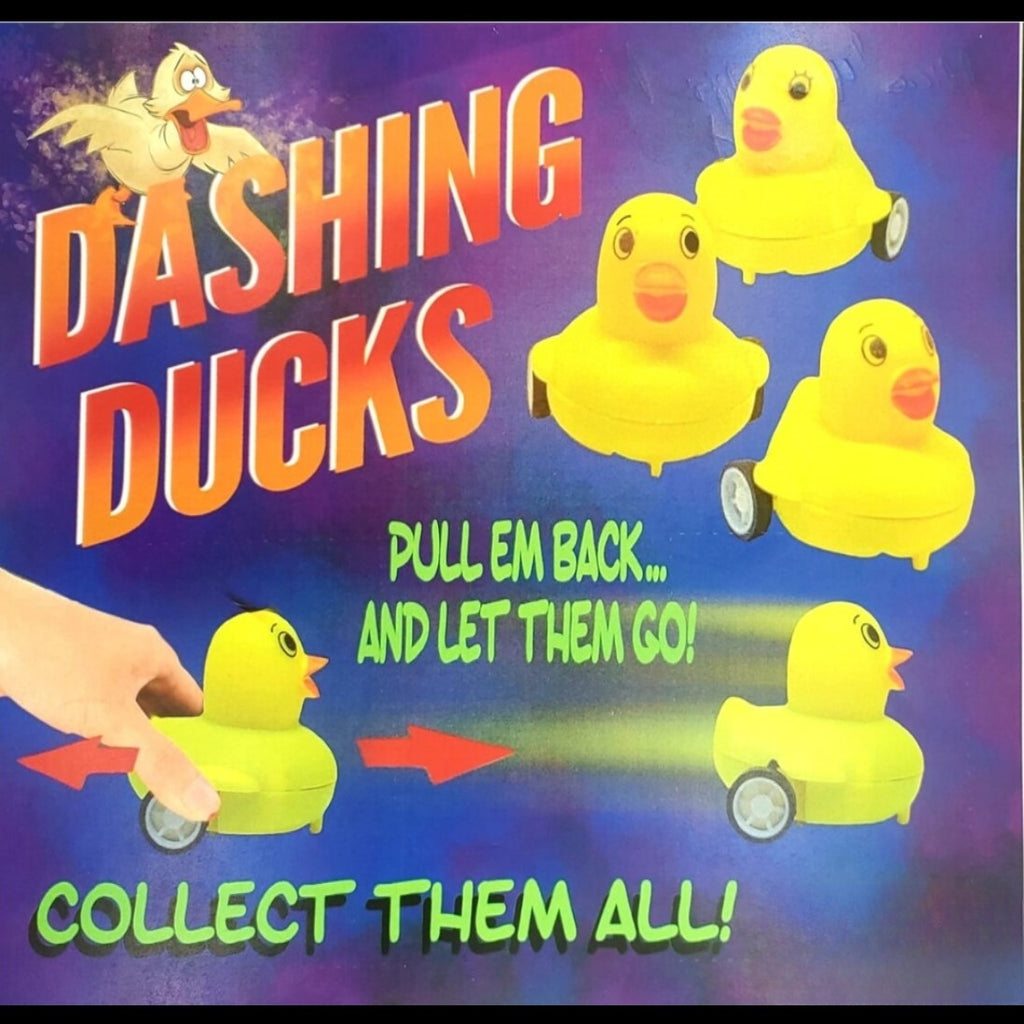 Purple display card for Dashing Ducks