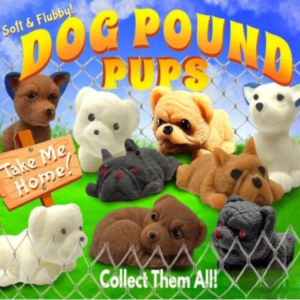display card for dog pound pups