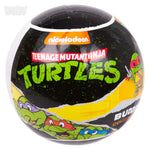 Teenage Mutant Ninja Turtles Blind Capsule Display Box (20 ct.)