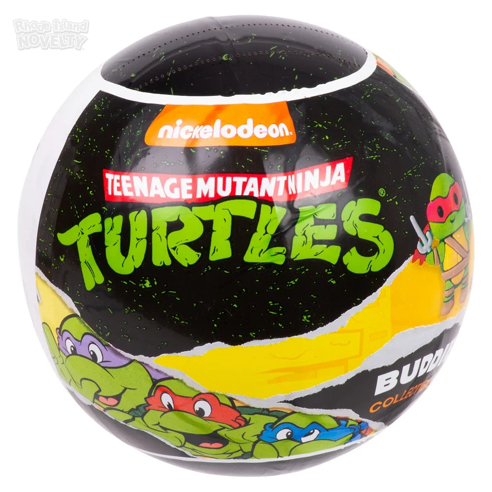Teenage Mutant Ninja Turtles Blind Capsule Display Box (20 ct.)
