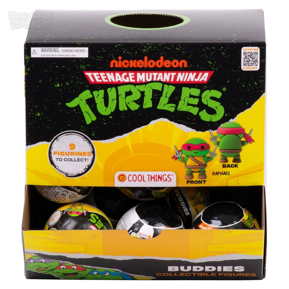 Teenage Mutant Ninja Turtles Blind Capsule Display Box (20 ct.)