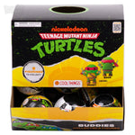 Teenage Mutant Ninja Turtles Blind Capsule Display Box (20 ct.)