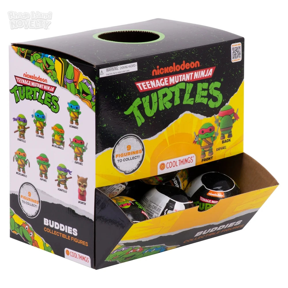 Teenage Mutant Ninja Turtles Blind Capsule Display Box (20 ct.)
