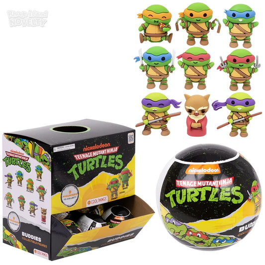 Teenage Mutant Ninja Turtles Blind Capsule Display Box (20 ct.)