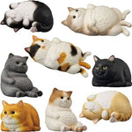 Mocchiri Kororin Cats Boxed (12pcs)