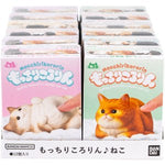 Mocchiri Kororin Cats Boxed (12pcs)