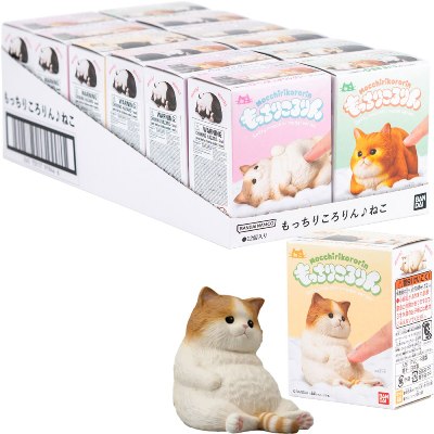 Mocchiri Kororin Cats Boxed (12pcs)