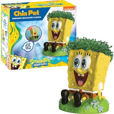 SpongeBob® Chia Pet® (1ct.)