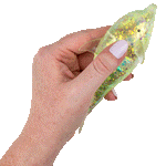 Squeeze Sugar Dolphin 5.5in (12pcs)