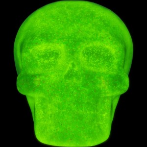 Skull Head Collection 6in (12pcs)