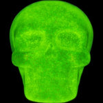 Skull Head Collection 6in (12pcs)