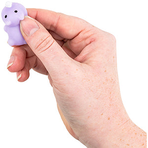 Squeezie Squeees Asst Series 5 (100pcs)