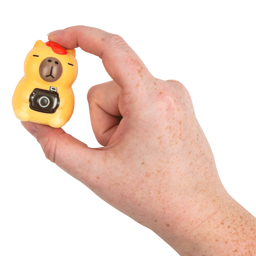 Squishy Capybara 2in Asst (50pcs)