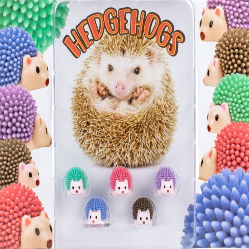 Real hedgehogs display card with green, pink, purple, blue and brown hedgehogs